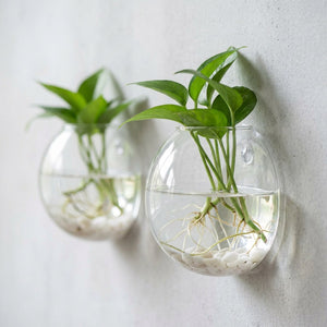Vases muraux en verre transparent décoration intérieure