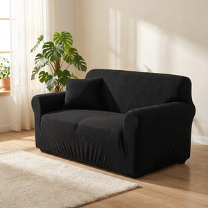 Housse de canapé noire dans un salon scandinave lumineux avec plante verte