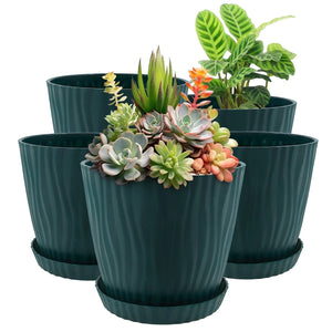 Lot de 5 cache-pots PP vert foncé avec succulentes et plante verte, vue galerie