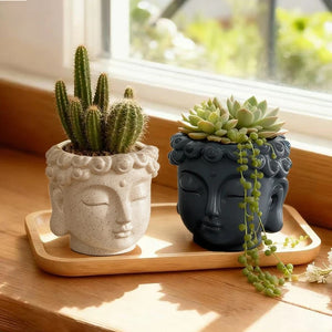 Pot de fleurs tête de bouddha beige avec plante succulente dans jardin