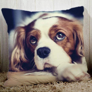 Exemple de photo de chien imprimée sur une housse de coussin personnalisée