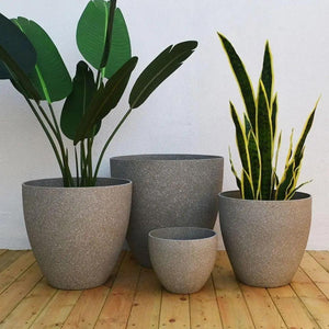 Pots de fleurs effet pierre givrée en plusieurs tailles avec des plantes vertes