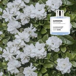Diffuseur de parfum Gardenia sur fond de fleurs blanches décoration naturelle