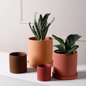 Pot de fleurs cylindrique céramique nordique avec plante succulente