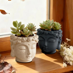 Deux pots de fleurs bouddha gris et beige avec succulentes en extérieur