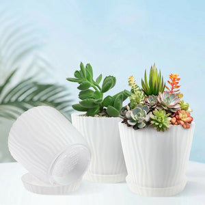 Groupe de cache-pots PP blancs avec succulentes variées en plein air