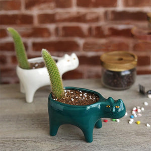 Cache-pot chat blanc et vert foncé sur surface en bois