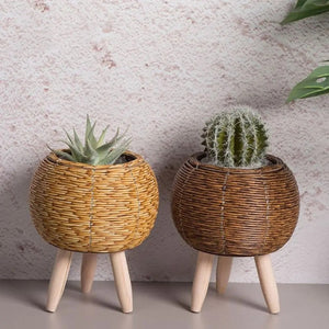Cache-pots boule en rotin naturel et marron avec succulente et cactus