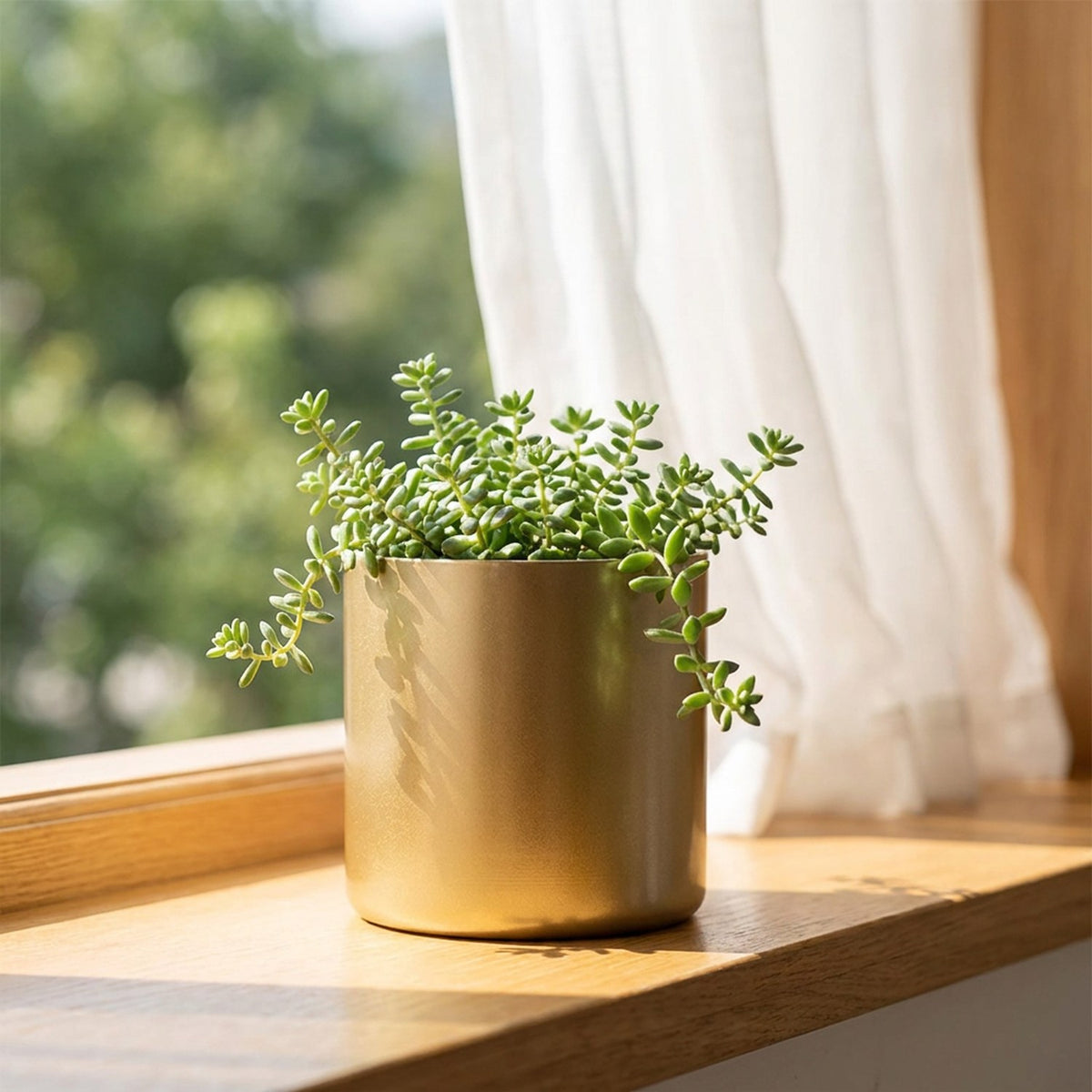 Cache-pot doré avec plante verte posé sur un rebord de fenêtre ensoleillé