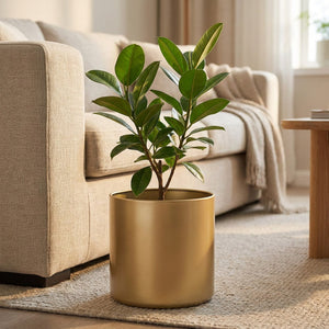 Cache-pot doré avec grande plante verte posé au sol près d'un canapé