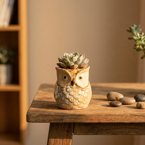 Cache-pot hibou céramique beige avec succulente à la lumière dorée sur table en bois rustique