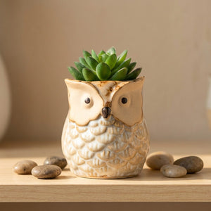 Cache-pot hibou céramique couleur Beige avec succulente