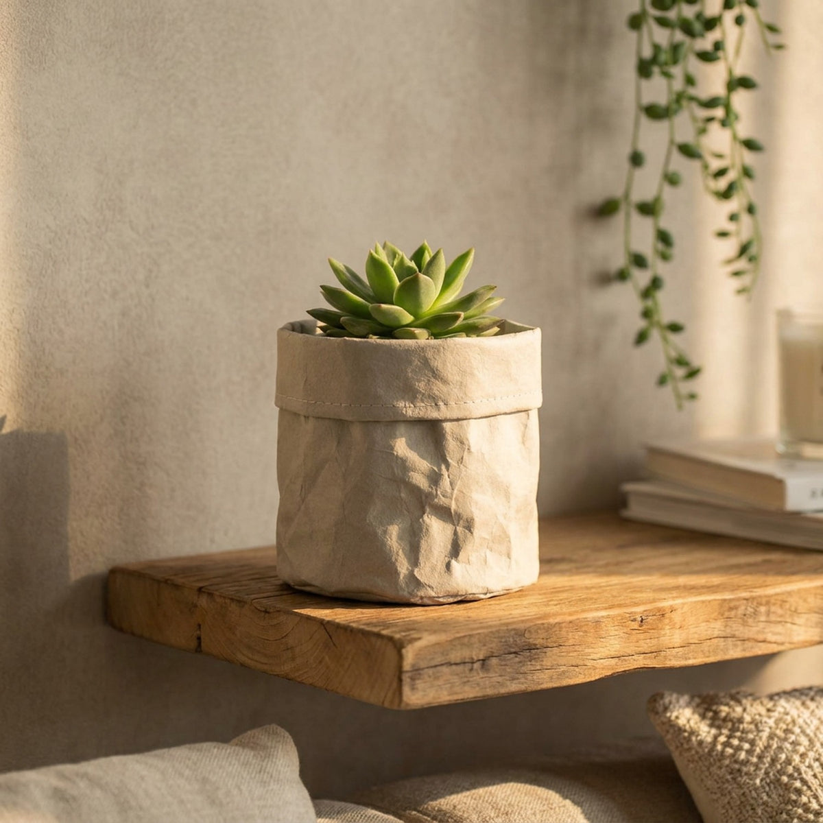 Cache-pot en papier kraft gris avec une succulente sur une etagere en bois