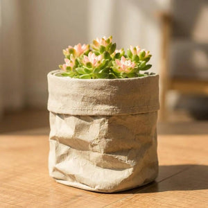 Cache-pot en papier kraft gris clair avec une succulente verte
