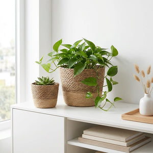 Cache-pots en osier naturel avec plantes vertes sur buffet blanc dans un salon scandinave