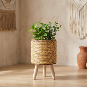 Cache-pot cylindre en rotin clair sur pieds en bois avec plante verte