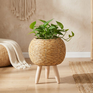 Cache-pot sur pied en rotin tressé clair garni d'une plante verte dans un salon lumineux