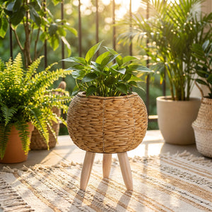 Cache-pot en rotin avec plante sur une terrasse ensoleillée