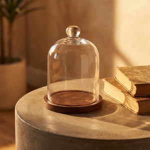 Cloche verre dôme table béton lumière dorée livres