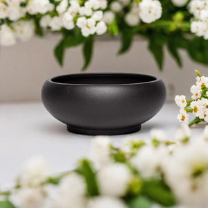 Pot bonsaï coupe noire avec fleurs blanches