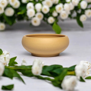 Pot bonsaï coupe dorée avec fleurs