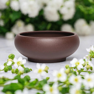 Pot bonsaï coupe marron foncé avec fleurs