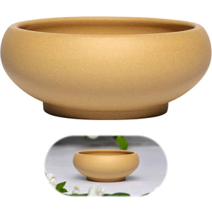 Comparaison pot bonsaï coupe beige