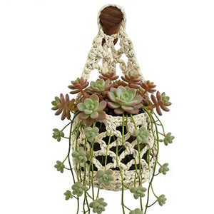 Panier suspendu en macramé coloris blanc avec plantes succulentes cascadantes