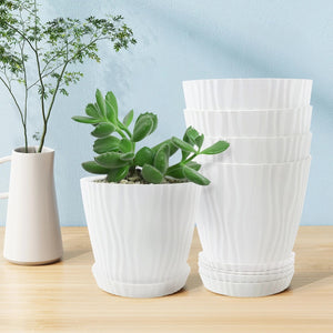 Cache-pot PP blanc avec succulent sur un bureau en bois, fond bleu