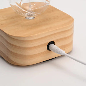 Port de charge USB-C du diffuseur nébuliseur