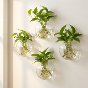 Vase mural en verre transparent - vue principale
