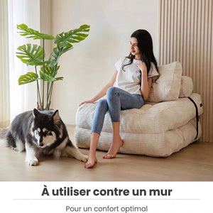 Chaise convertible blanche installée contre un mur dans un salon avec un chien