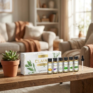 Coffret d'huiles essentielles posé sur une étagère en bois avec une plante grasse dans un salon chaleureux