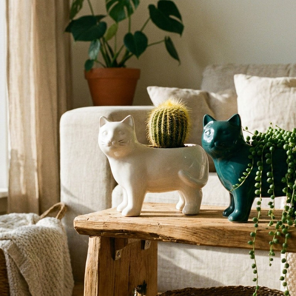 Cache-pot chat blanc et vert foncé en céramique sur étagère en bois avec cactus