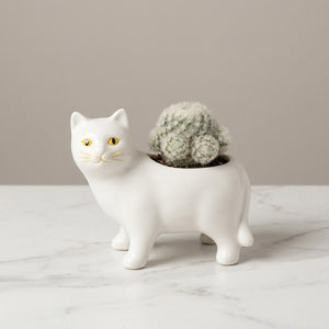 Cache-pot chat en céramique émaillée blanche avec cactus sur surface en marbre