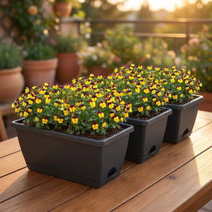 Lot de 3 jardinières rectangulaires noires remplies de fleurs colorées sur une terrasse ensoleillée