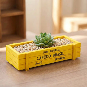 Jardinière en bois jaune plantée d'une succulente