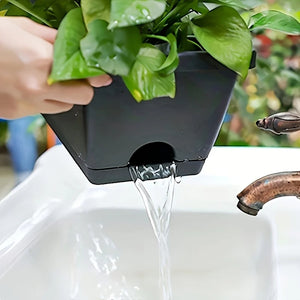 Jardinière noire avec plante verte montrant les trous de drainage au-dessus d'un évier