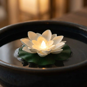 Lampe lotus flottante LED blanche allumée flottant sur l eau d un bol noir