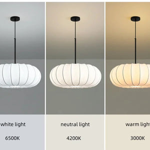 Comparaison des couleurs de lumière chaude neutre et blanche