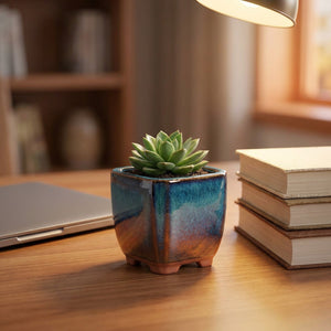 Pot à succulentes bleu avec plante sur un bureau en bois près d'une lampe