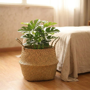 Cache-pot en jonc de mer tressé avec une plante verte dans une chambre lumineuse