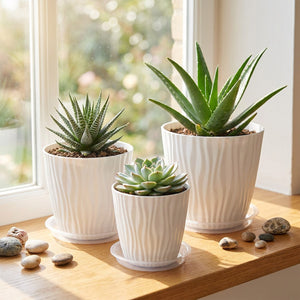 Trio de cache-pots PP blancs avec succulentes sur un appui de fenêtre ensoleillé