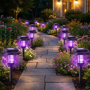 Allée de jardin bordée de lampes anti-moustiques solaires lumière UV violette