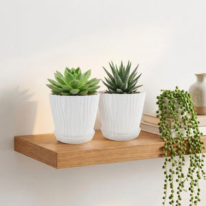 Deux cache-pots PP blancs avec succulentes sur une étagère murale bois, décoration Scandinave