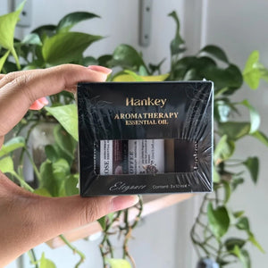 Main tenant un coffret huile essentielle aromatique en situation
