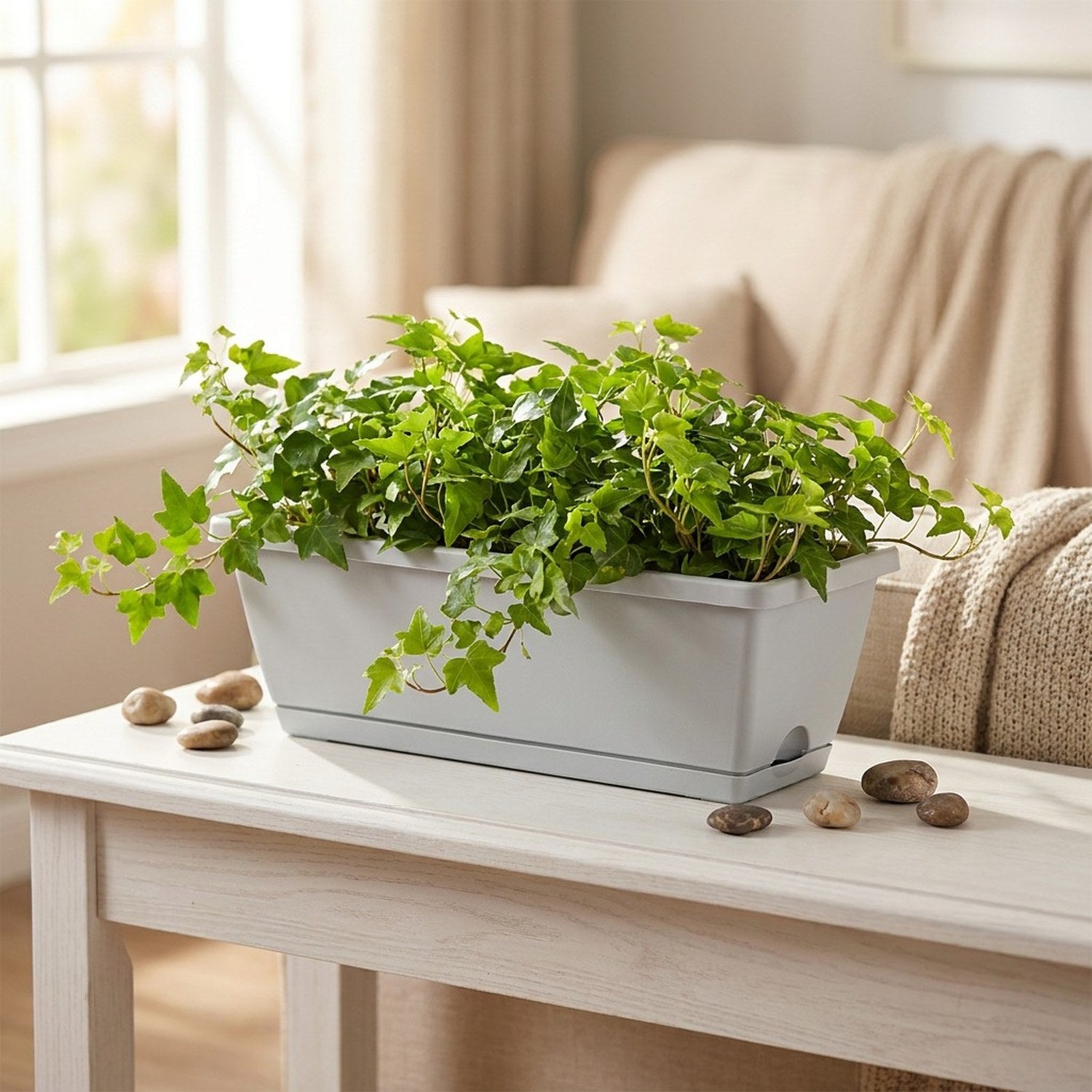 Jardinière rectangulaire avec lierre dans salon sur table console blanche