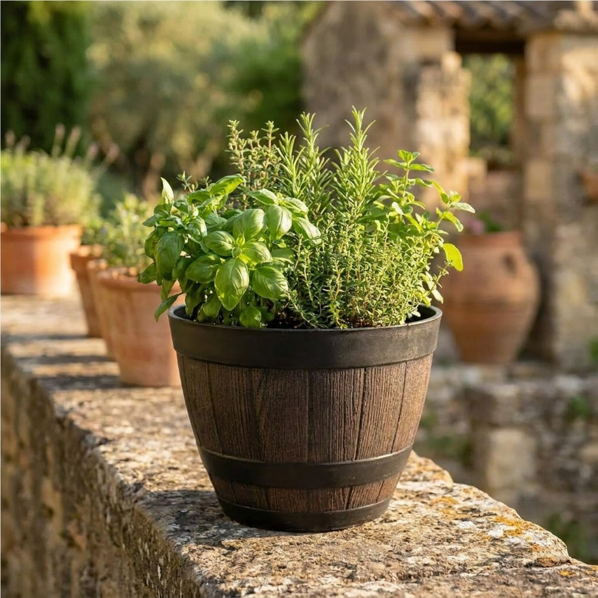 Pot de fleur tonneau vintage avec herbes aromatiques sur muret de jardin en pierre