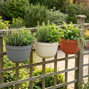 Pots muraux imitation rotin en trois couleurs sur clôture de jardin avec herbes