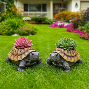 Deux jardinières tortue résine vintage avec succulentes colorées sur pelouse verte jardin